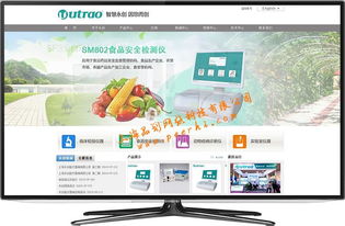 閔行網站建設與維護 一站式服務助力企業數字化轉型