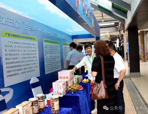 茂名鄉(xiāng)村振興出圈出彩，茂湛高速服務(wù)區(qū)變身農(nóng)特產(chǎn)墟市與票務(wù)代理服務(wù)