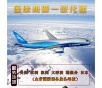 票務(wù)服務(wù)與票務(wù)代理服務(wù) 現(xiàn)代娛樂與出行體驗的橋梁